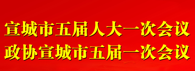 市政协五届一次会议隆重开幕